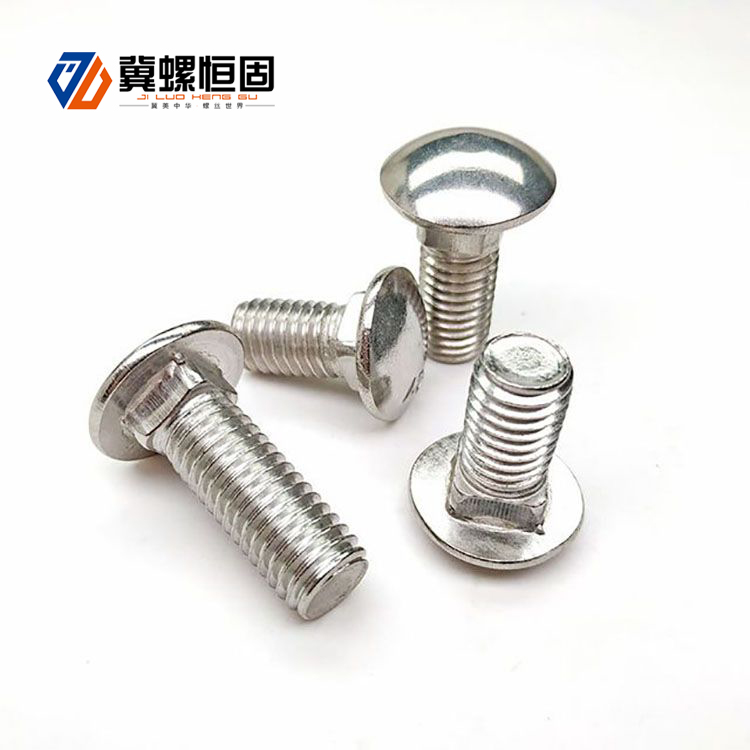 DIN603 Stainless Steel Carriage Bolts Featured Image