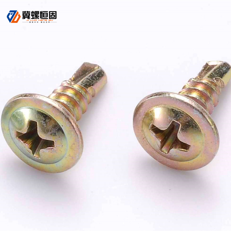 Manufactur standard Stainless Steel Wedge Anchors - Large flat round head drill screw – Ji Luo Fastener detail pictures