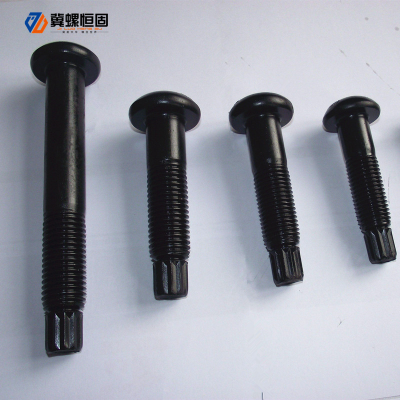Popular Design for Short Turnbuckle - Steel structure torsion shear bolts – Ji Luo Fastener detail pictures