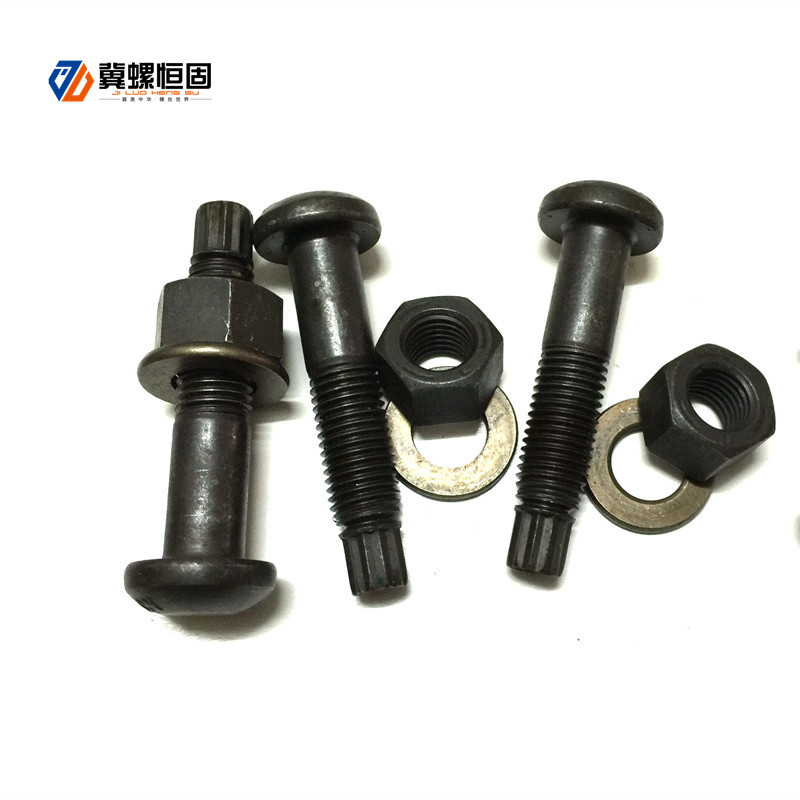 Popular Design for Short Turnbuckle - Steel structure torsion shear bolts – Ji Luo Fastener detail pictures