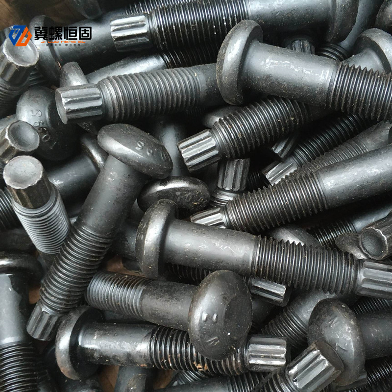 Popular Design for Short Turnbuckle - Steel structure torsion shear bolts – Ji Luo Fastener detail pictures